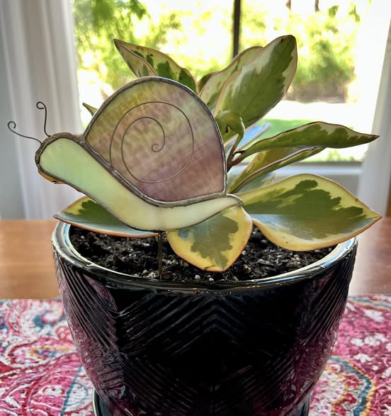 Swirly Snail