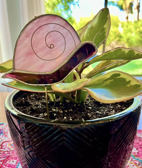 Swirly Snail