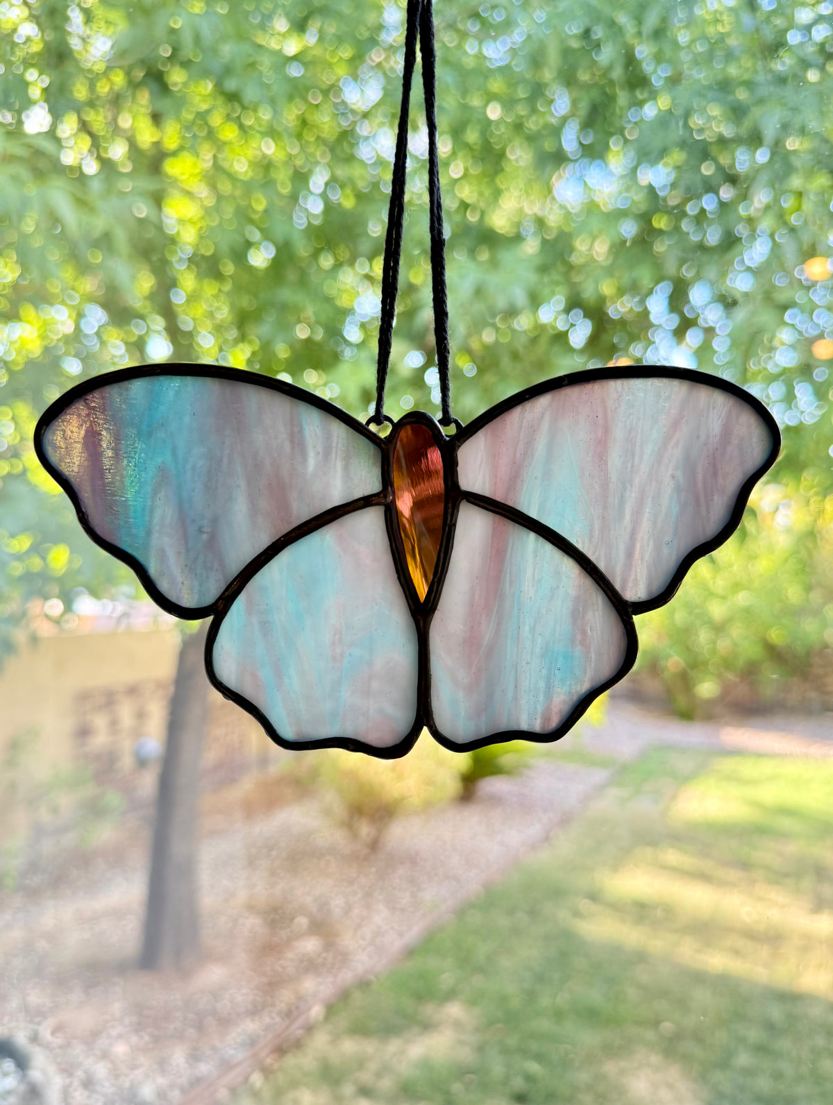 Sweet Butterfly