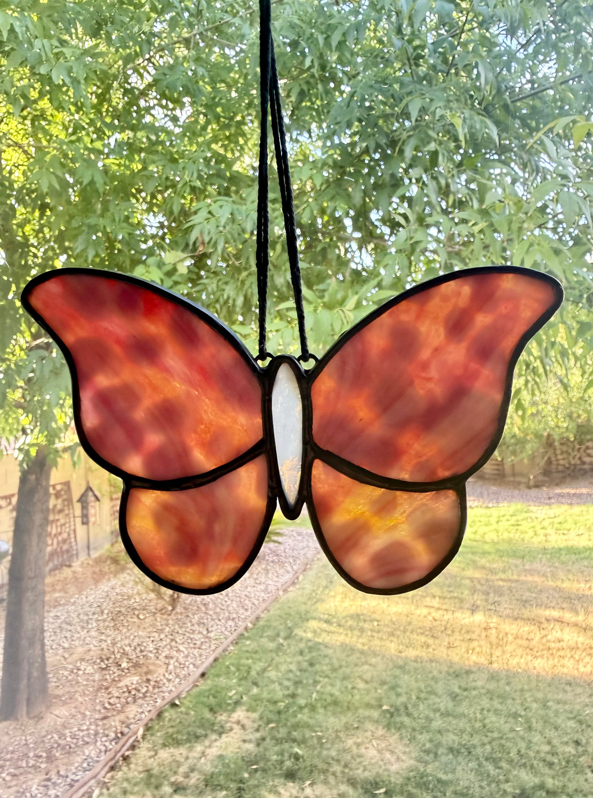 Sweet Butterfly