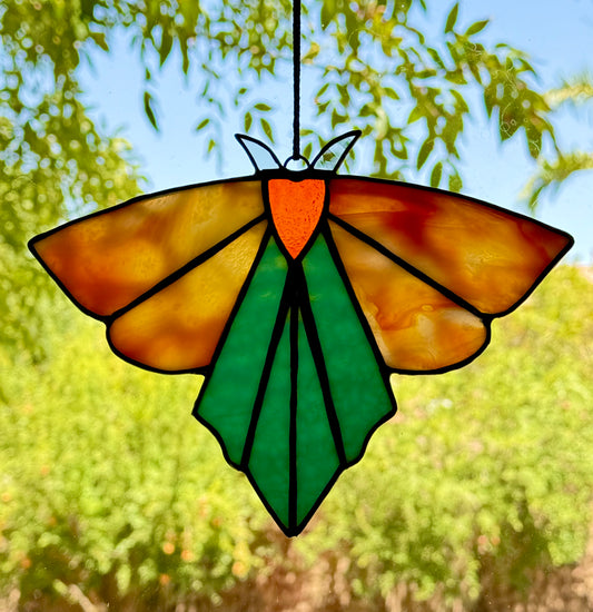 Mysterious Moth