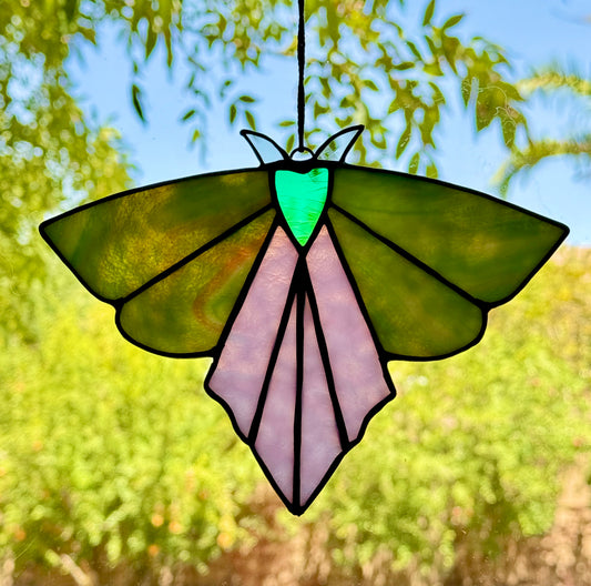 Mysterious Moth