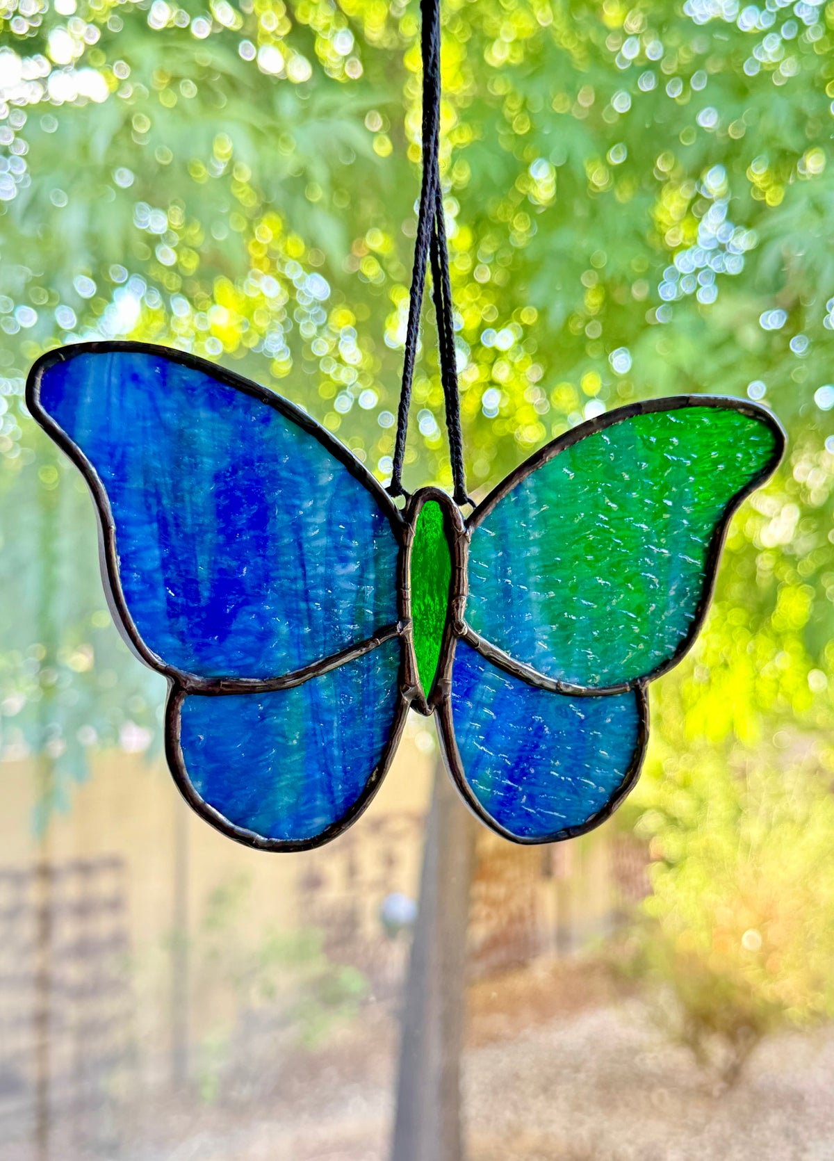 Sweet Butterfly