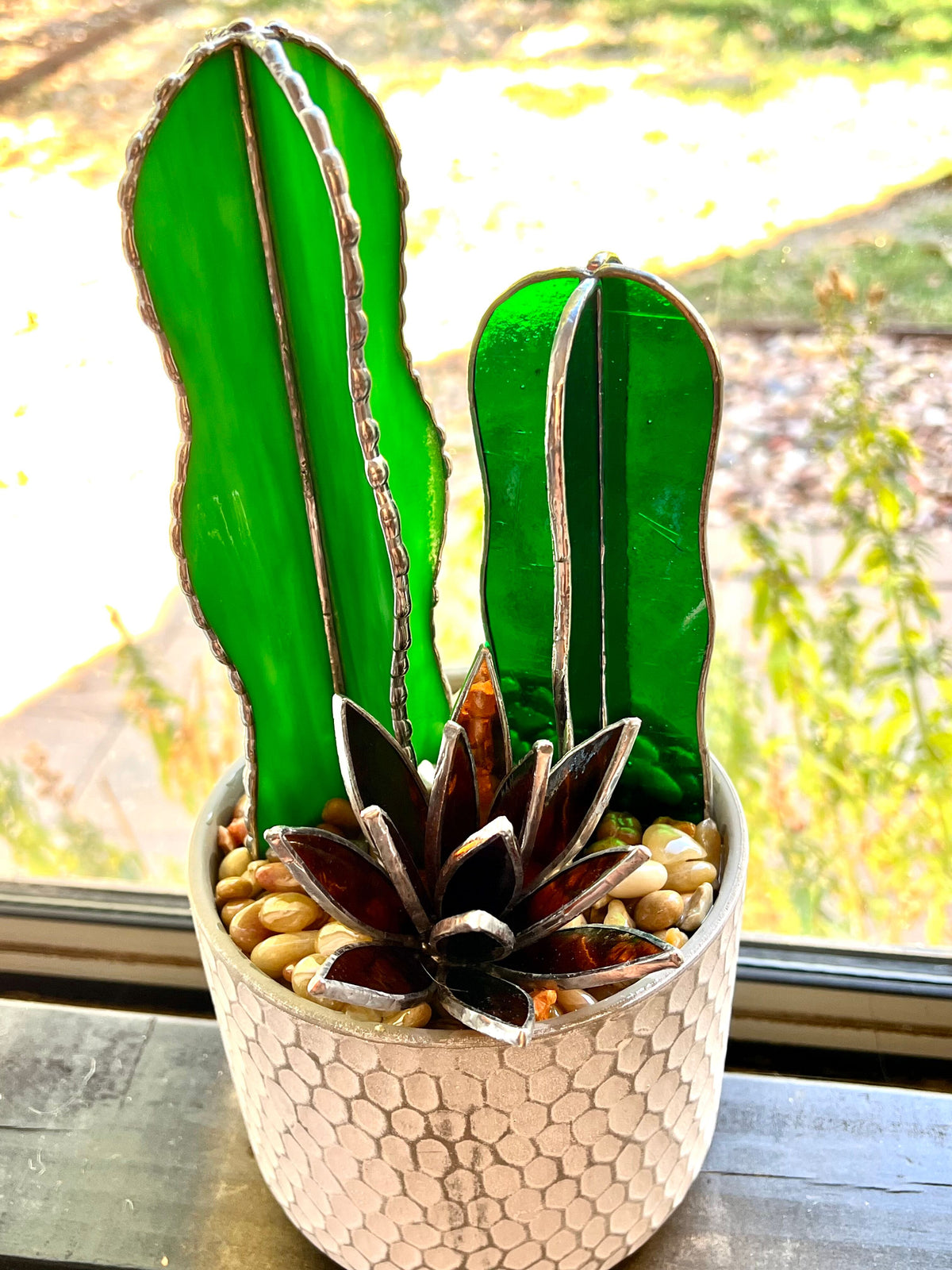 Cactus & Bloom