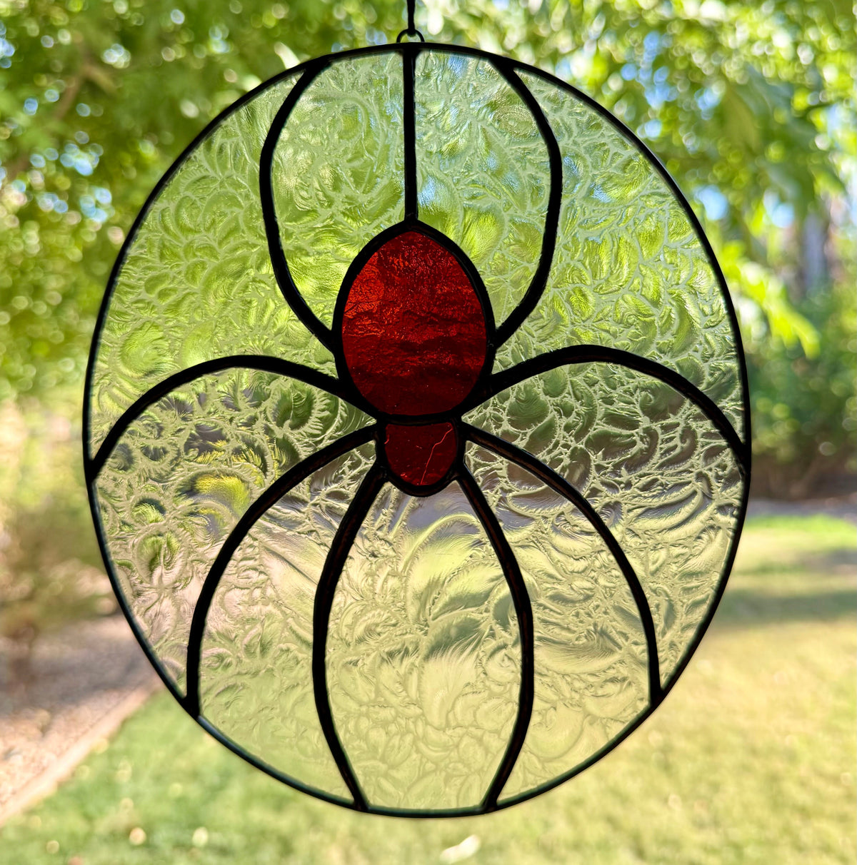 Elegant Spider