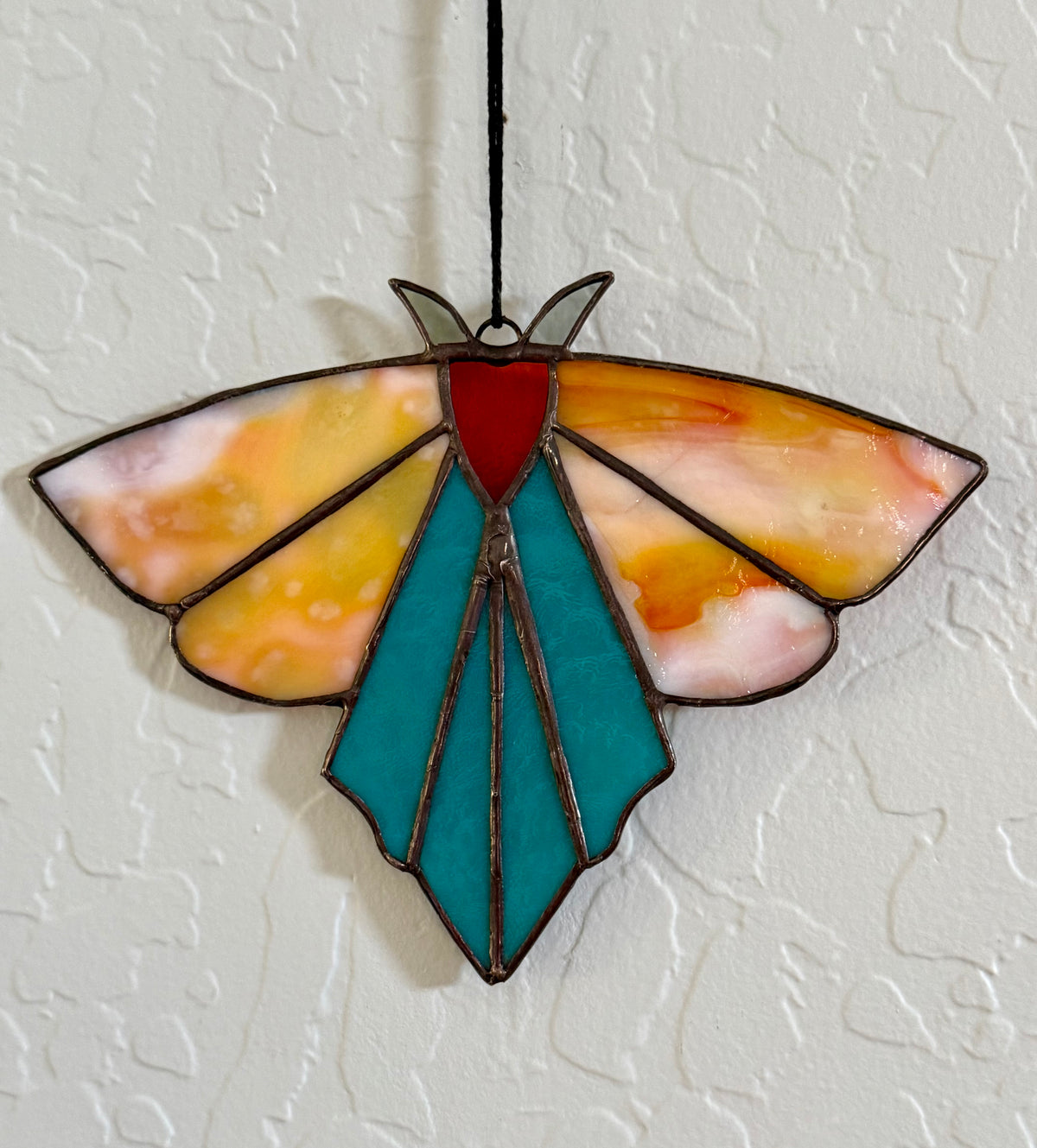Mysterious Moth