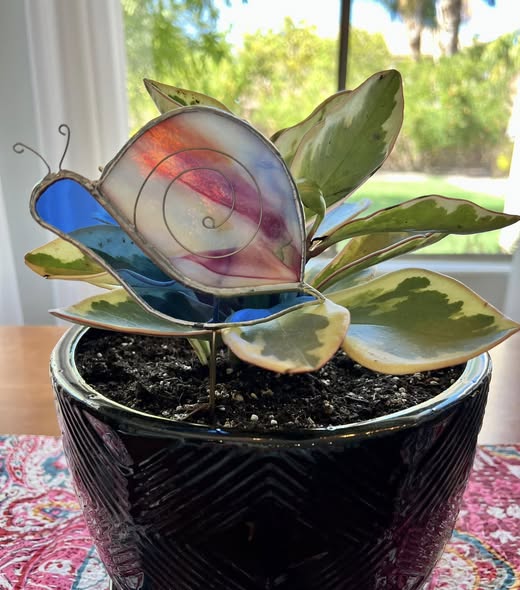 Swirly Snail