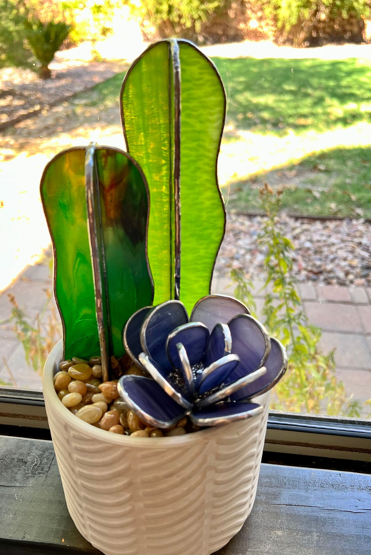 Cactus & Bloom