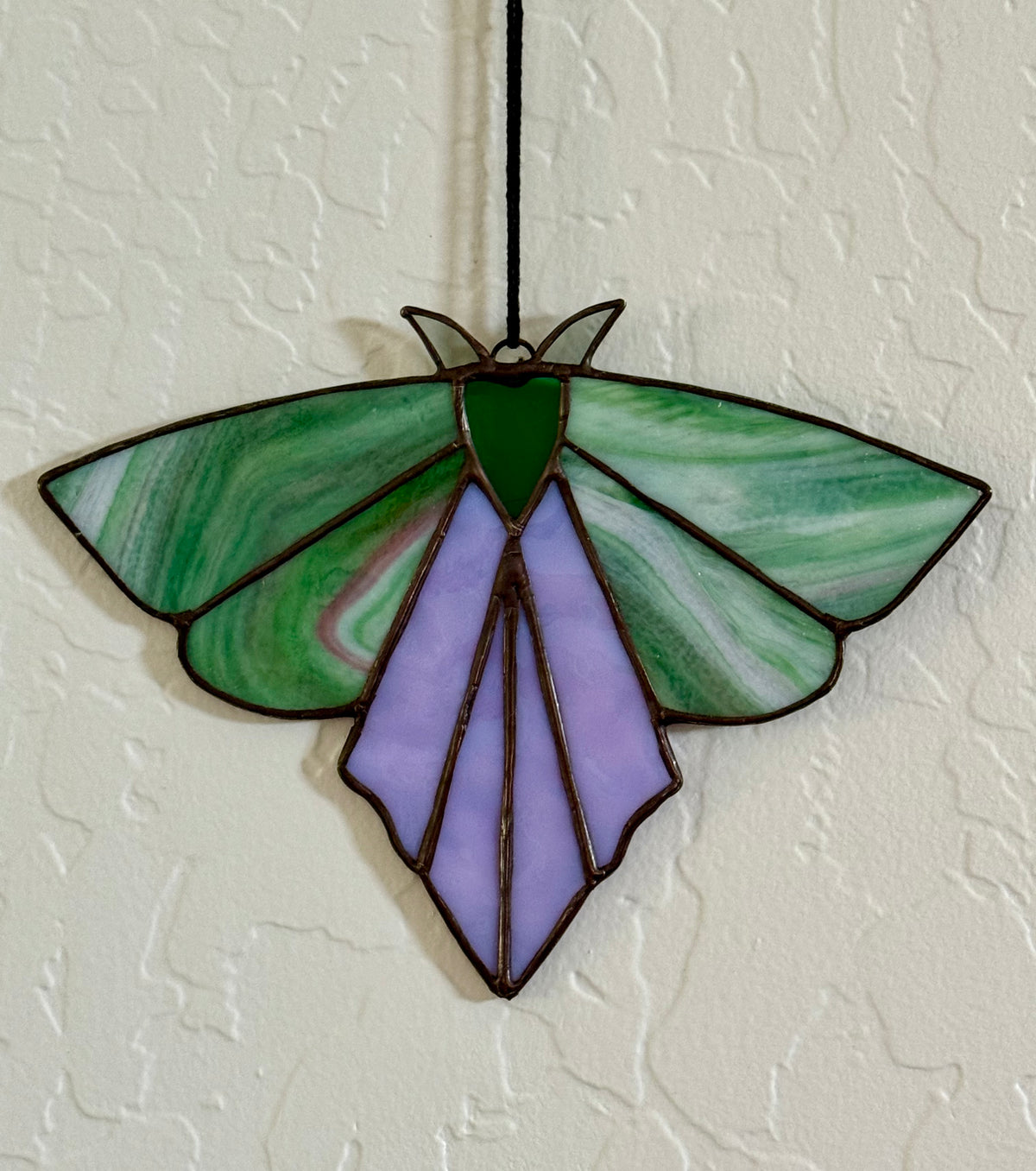 Mysterious Moth