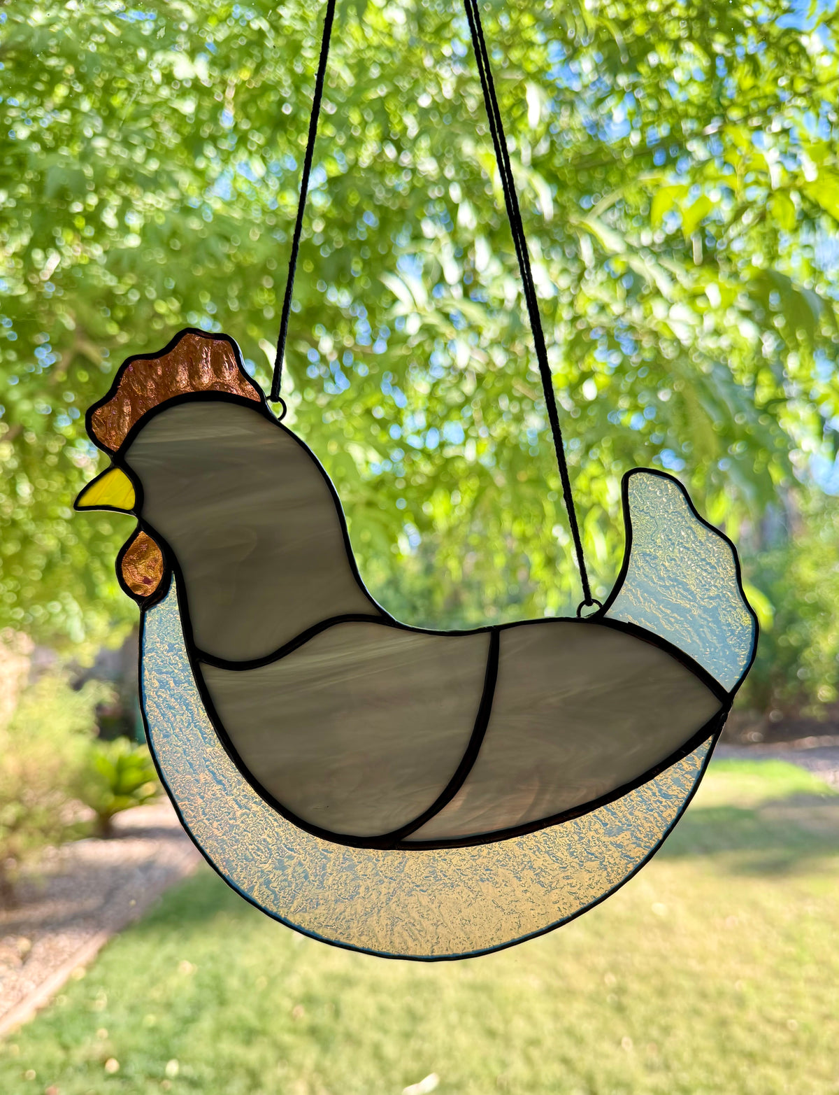 Pretty Hen
