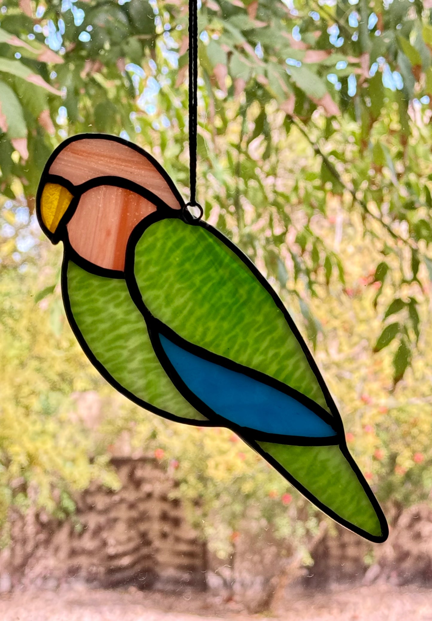 Lovebird